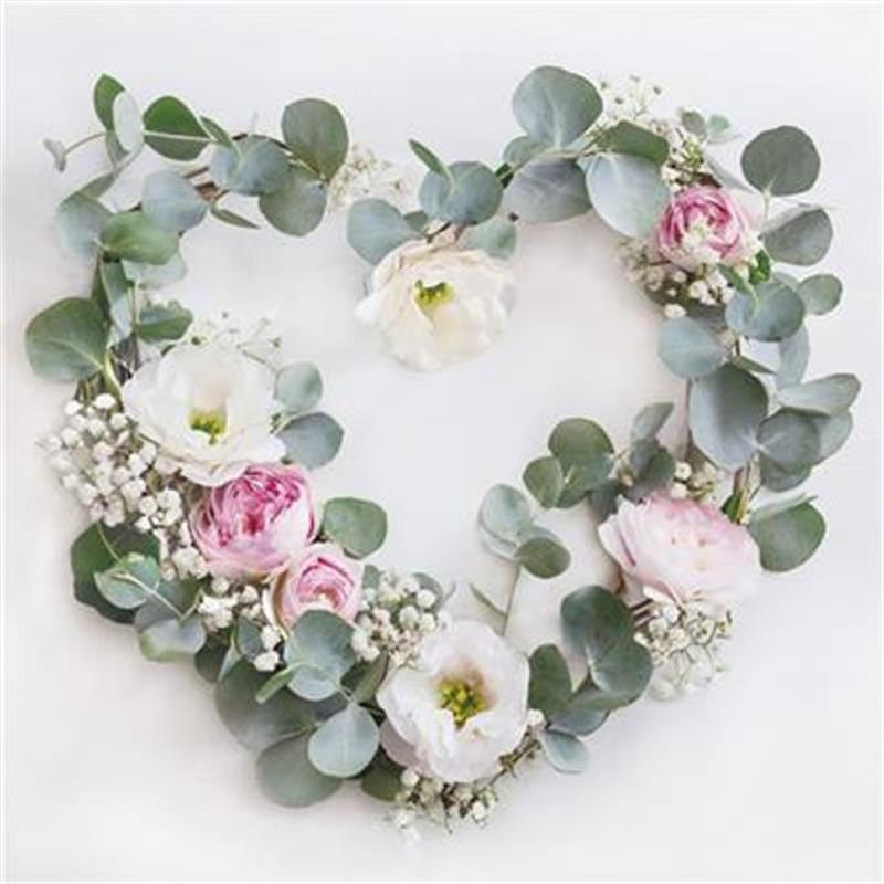 365-0272 Product Image 1