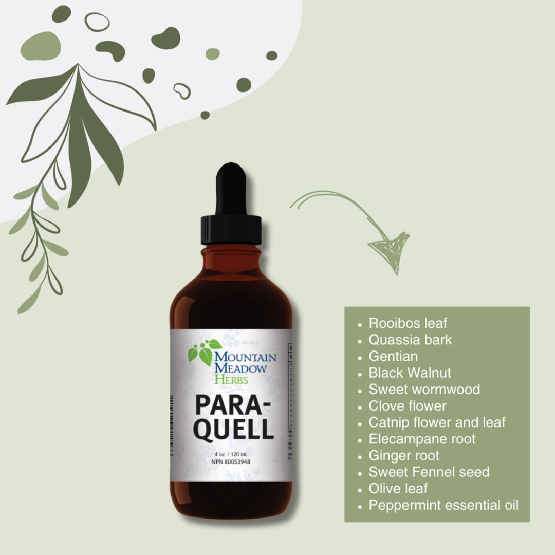 440-1004 Product Image 2