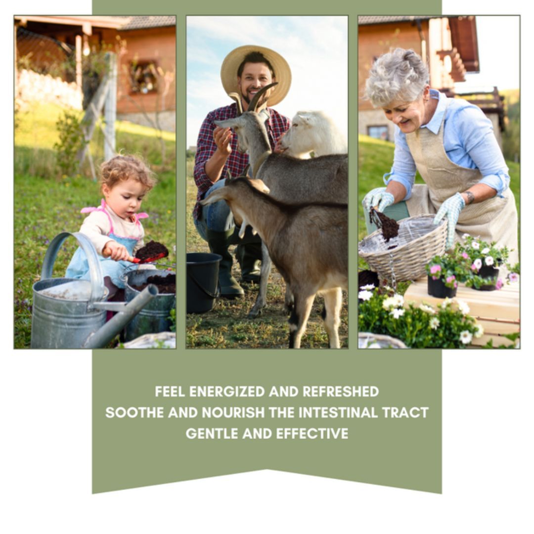 440-1004 Product Image 4