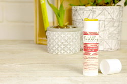 Image of All Purpose Salve 0.5 oz. Stick