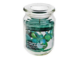 Image of Eucalyptus Mint Candle – 18 oz
