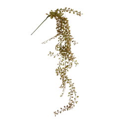 Image of Hanging Baby Grass
