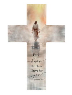 Image of Wall Cross I Know The Plans