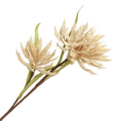 Image of Wildflower Stem 22.5′ x 2′ Beige
