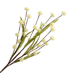 Image of Wildflower Pod Spray 29.5′ Cream