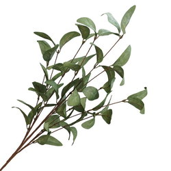 Image of Spray Leaves 29.5′ Green