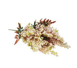 Image of Bunch Grass Nude