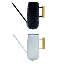 Image of 2 Asst Watering Can