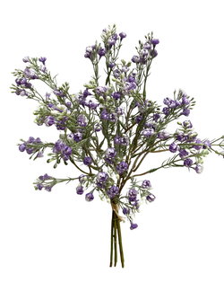 Image of Lavender Baby’s Breath Bundle