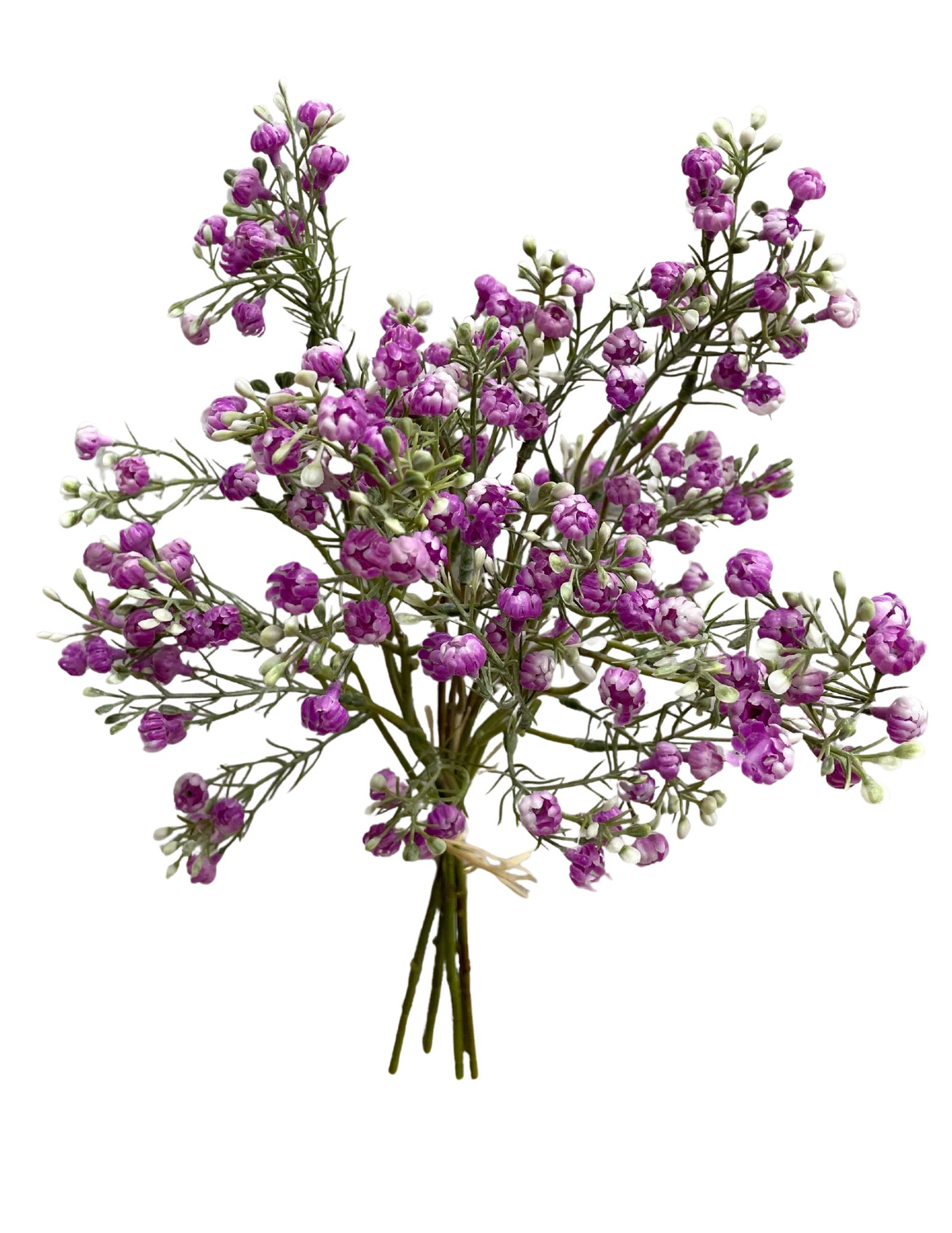 460-2033 Product Image 1