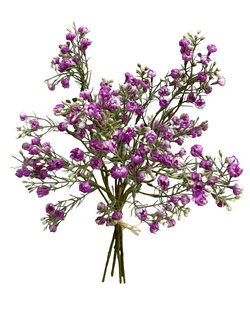 Image of 14′ Mauve Baby’s Breath Bundle