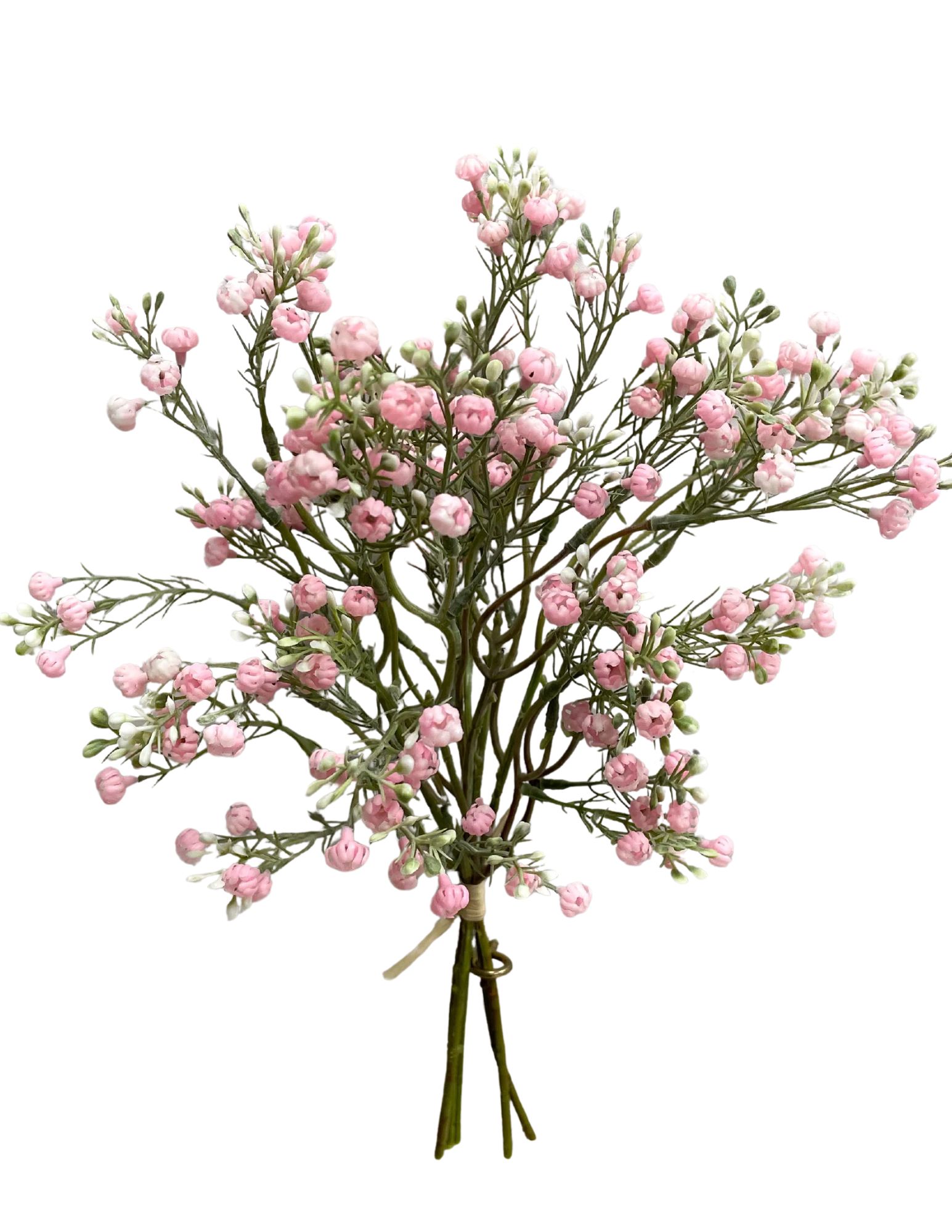 460-2034 Product Image 1