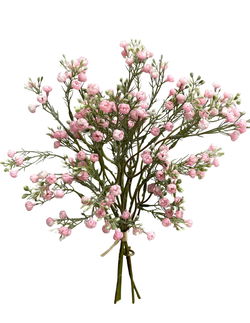 Image of 14′ Pink Baby’s Breath Bundle