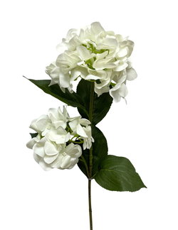 Image of 32′ Fresh Touch White Hydrangea x 2 Stem