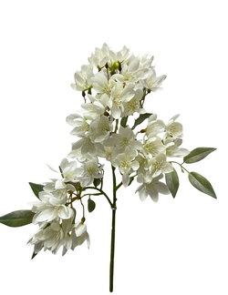 Image of 16′ White Weigela Spray