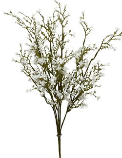 Image of 22′ White Seedum Seed Bush