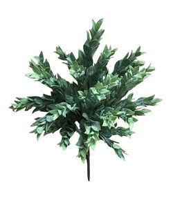 Image of 15′ Ruscus Leaves Bush