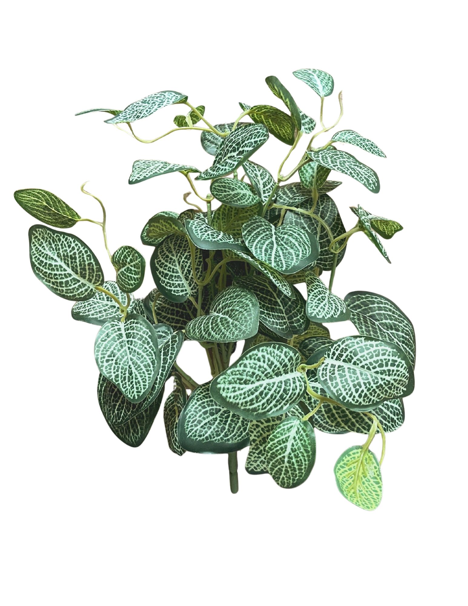 460-2056 Product Image 1