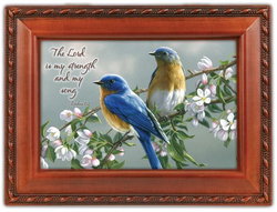 Image of Music Box – Watchful Birds