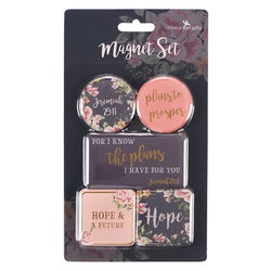 Image of Magnet Set Plans to Prosper/Hope & a Future