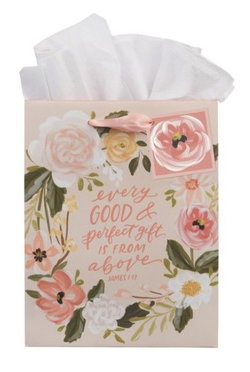 Image of Gift Bag MD Every Good & Perfect Gift James 1:17