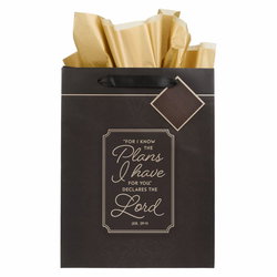 Image of Gift Bag LG Portrait I Know the Plans Jer. 29:11