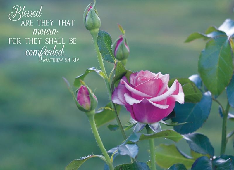 540-0069 Product Image 8