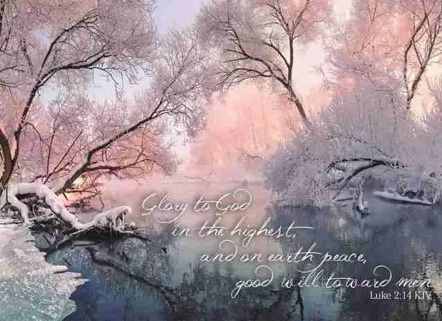 540-0071 Product Image 2