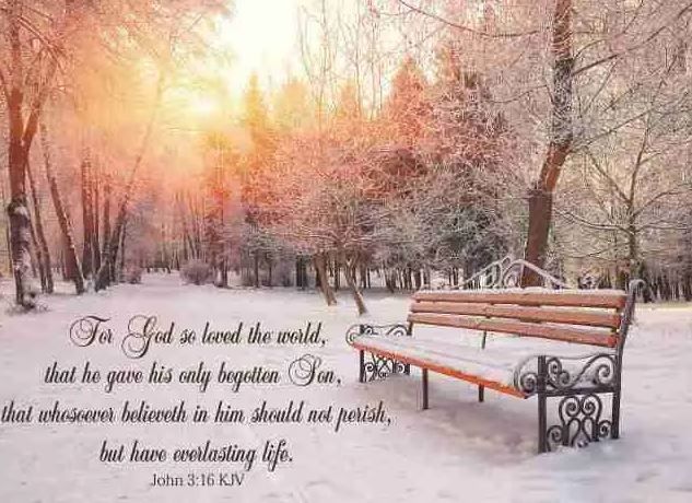 540-0071 Product Image 3