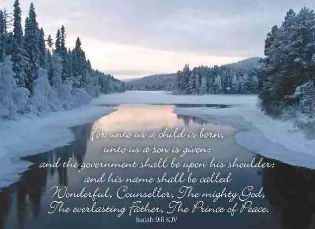 540-0071 Product Image 4