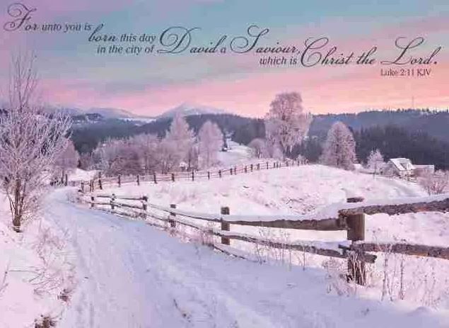 540-0071 Product Image 5