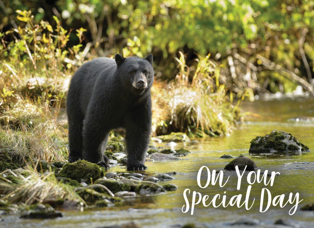 540-0141 Product Image 6