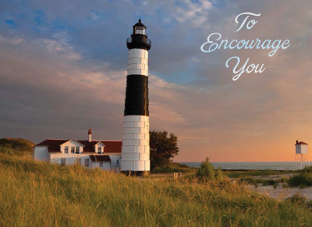 540-0146 Product Image 4