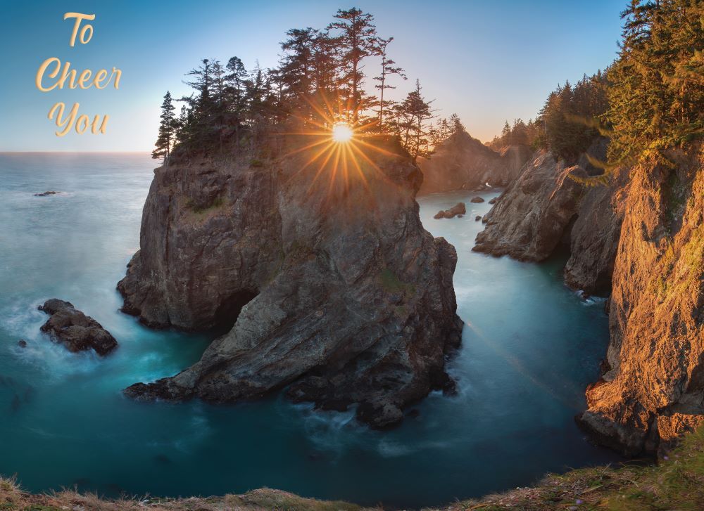 540-0146 Product Image 8