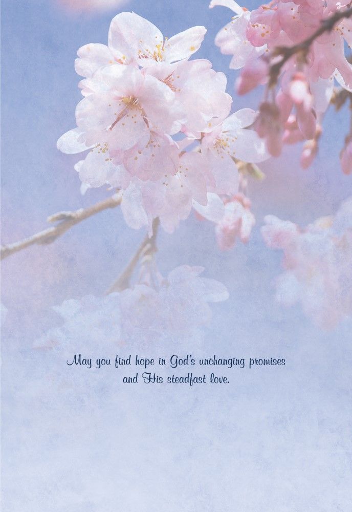 540-0147 Product Image 3