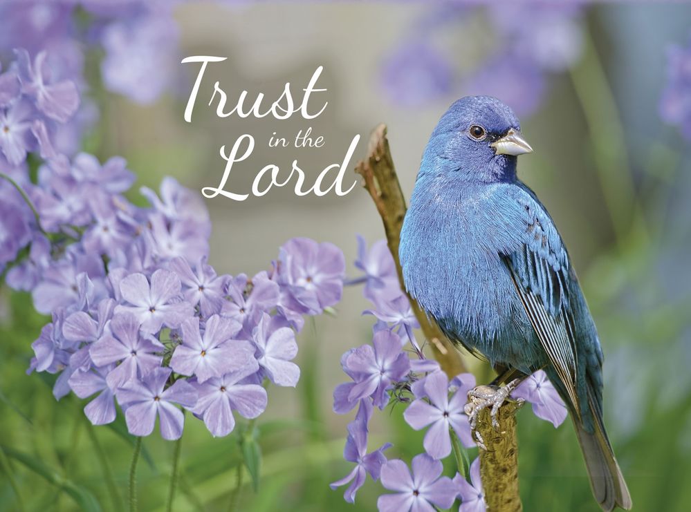 540-0147 Product Image 4