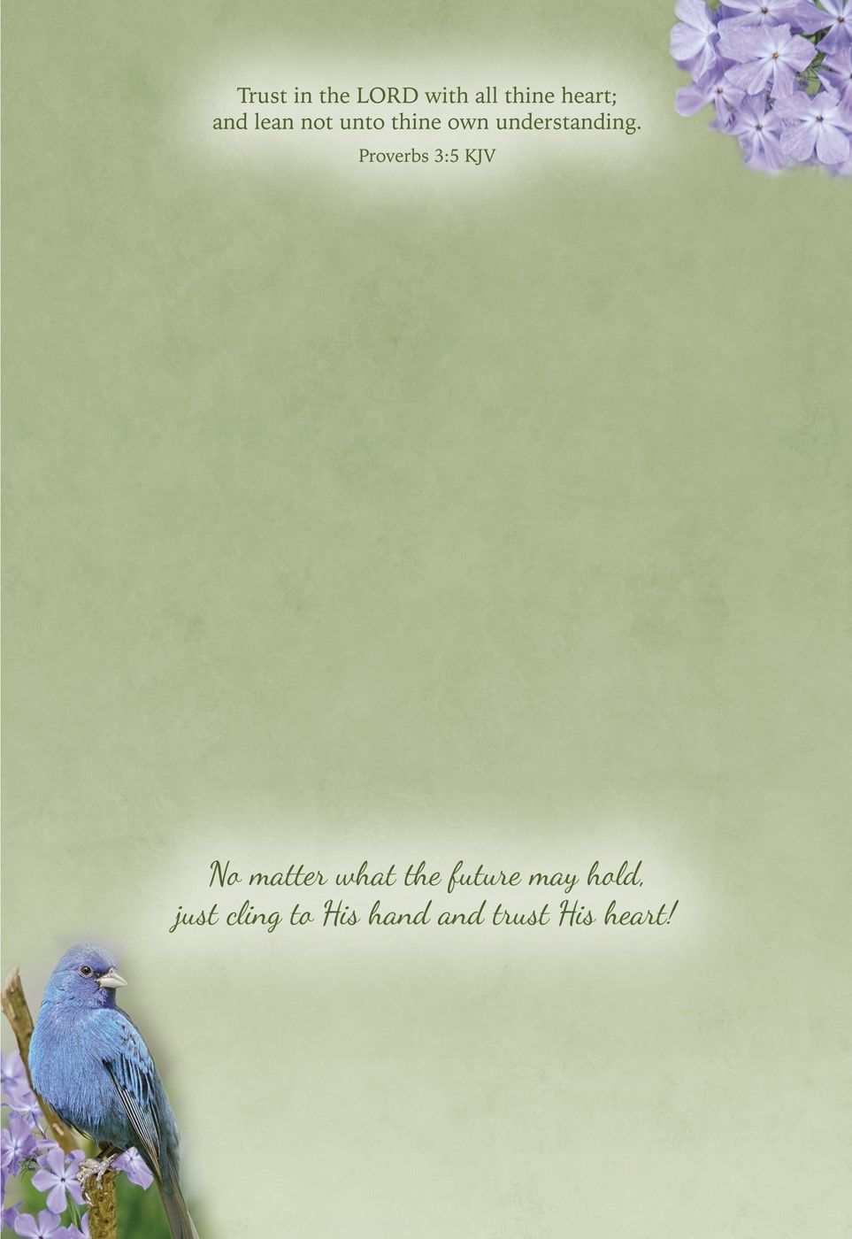 540-0147 Product Image 5