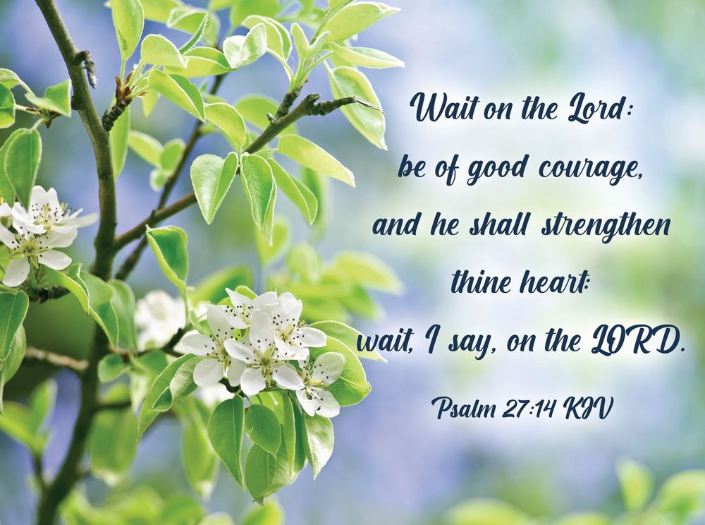 540-0147 Product Image 6