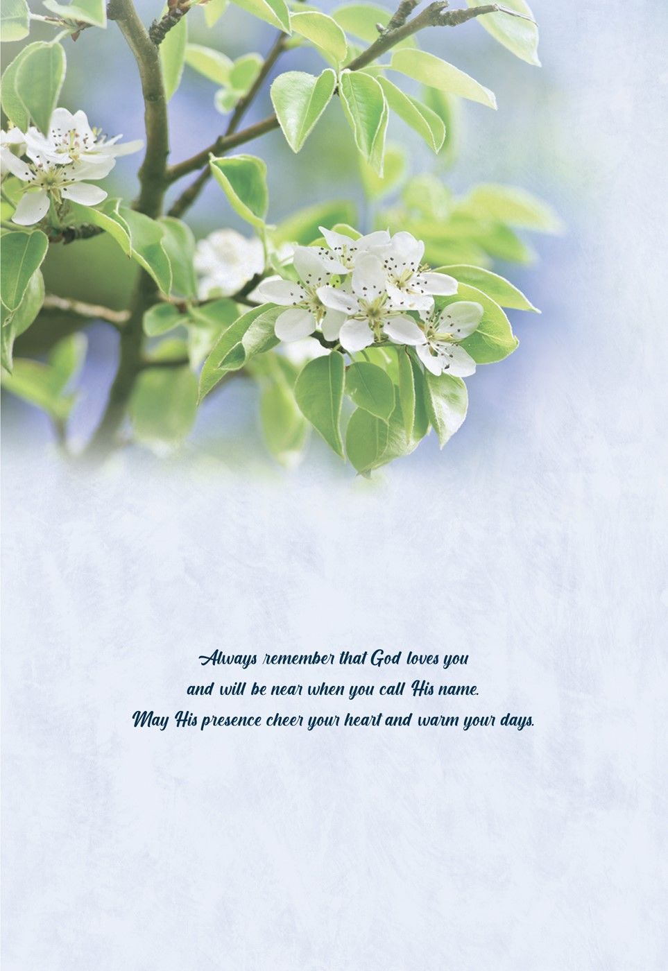 540-0147 Product Image 7