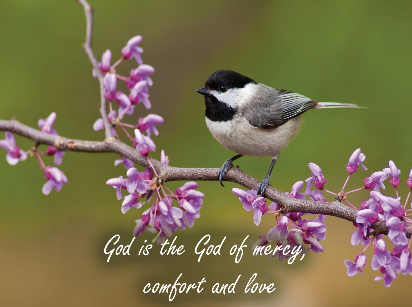 540-0147 Product Image 8