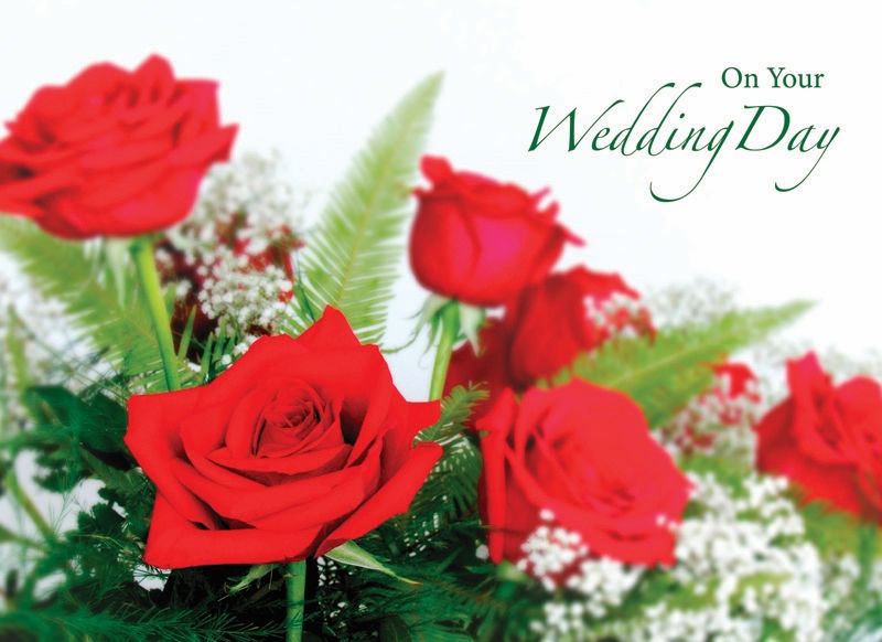 540-0150 Product Image 2