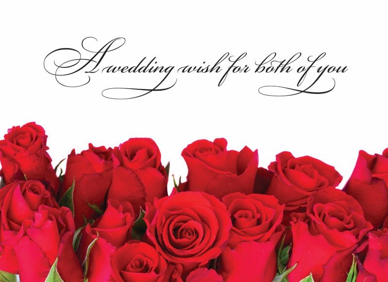 540-0150 Product Image 4