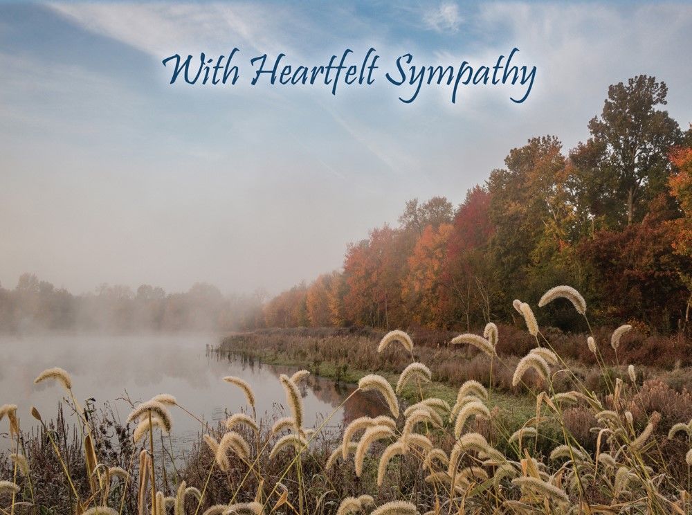 540-0158 Product Image 4