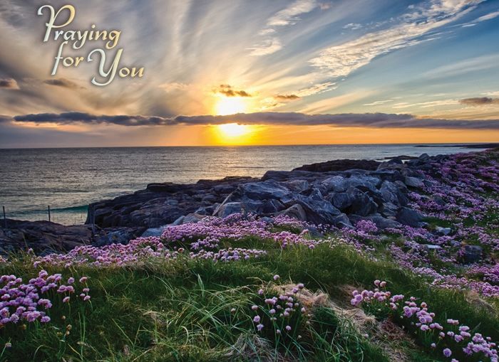 540-0159 Product Image 2