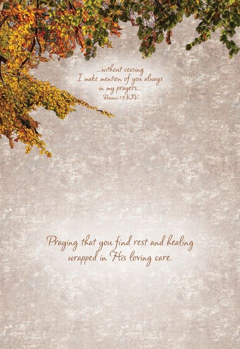 540-0159 Product Image 7