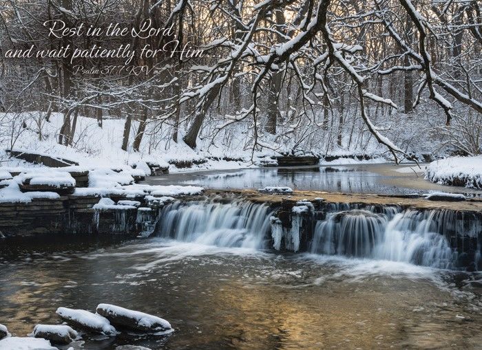 540-0159 Product Image 8