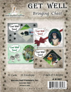 Image of Bringing Cheer – Get Well Cards