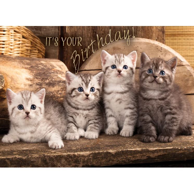 540-0281 Product Image 3