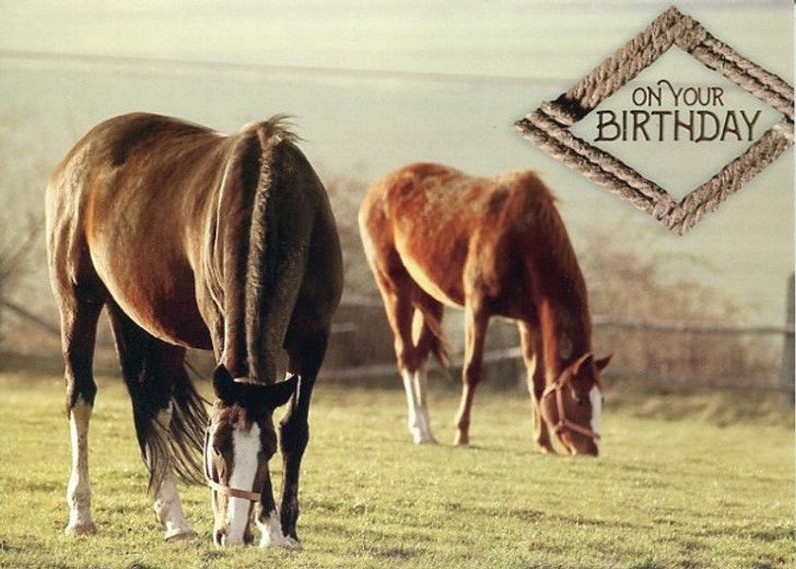 540-0282 Product Image 3