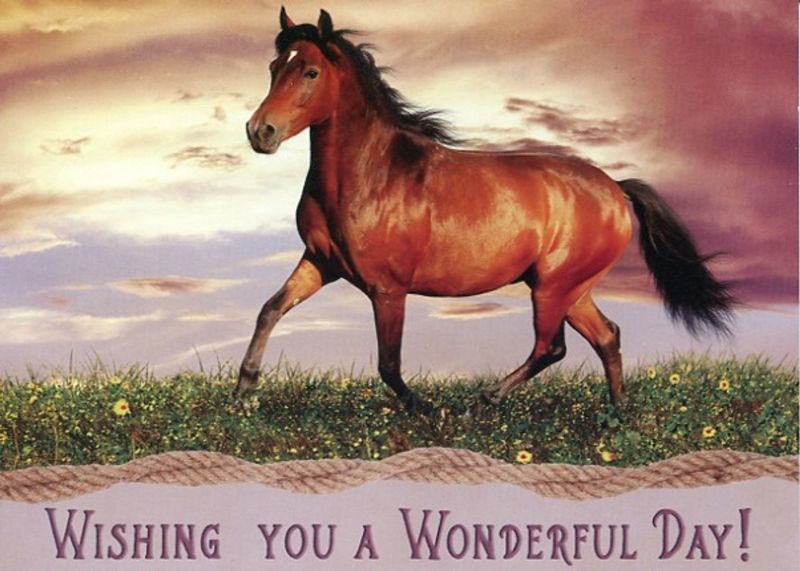 540-0282 Product Image 4